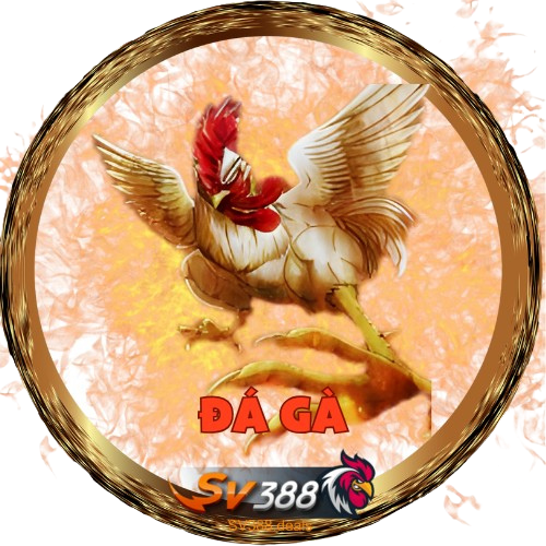 Đá gà